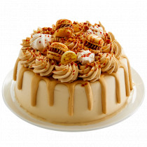 Layer Cake SPECULOOS à...