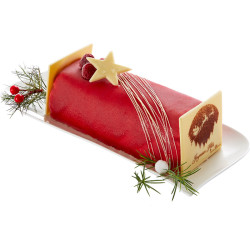 Une Bûche glacée à la Framboise et Vanille