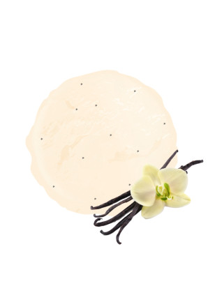 La crème glacée Vanille : recette artisanale depuis 45 ans
