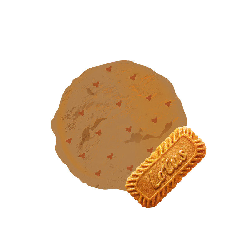 Le spéculoos dans une crème glacée avec morceaux