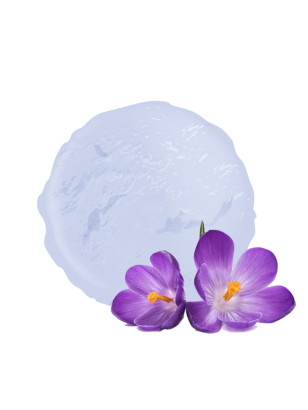 Sorbet à la violette de vandencasteele