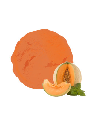 Sorbet original au melon par vandencasteele