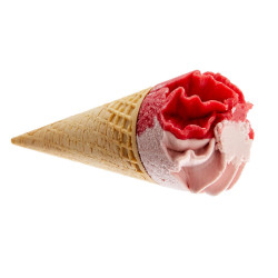 Cornets glacés – Framboise Van Den Casteele