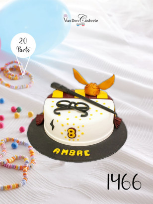 gateau harry potter