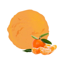 Sorbet original au melon par vandencasteele