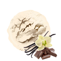 Glace artisanale à la vanille avec coulis chocolat