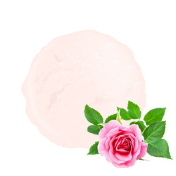 Les Roses Van Den Casteele