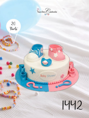 gâteau révélation sexe