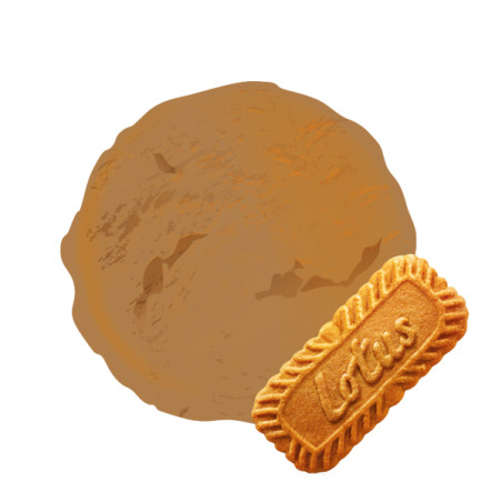 La crème glacée au fameux biscuit belge : le spéculoos