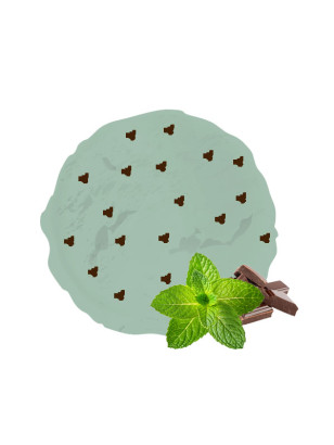 Crème glacée menthe chocolat Van Den Casteele