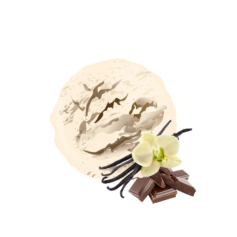 Glace artisanale à la vanille avec coulis chocolat
