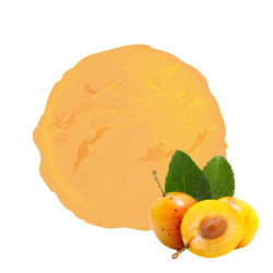 La mirabelle de lorraine dans un sorbet plein fruit