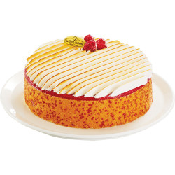 Pâtisserie glacée : le Framboisier !