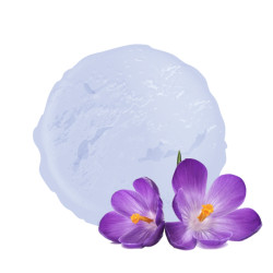 Sorbet à la violette de vandencasteele