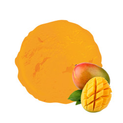 Retrouvez notre sorbet mangue dans nos 12 boutiques