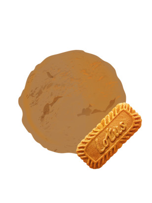 La crème glacée au fameux biscuit belge : le spéculoos