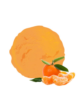 Clémentine de Corse – Sorbet plein fruit artisanal | Van Den Casteele