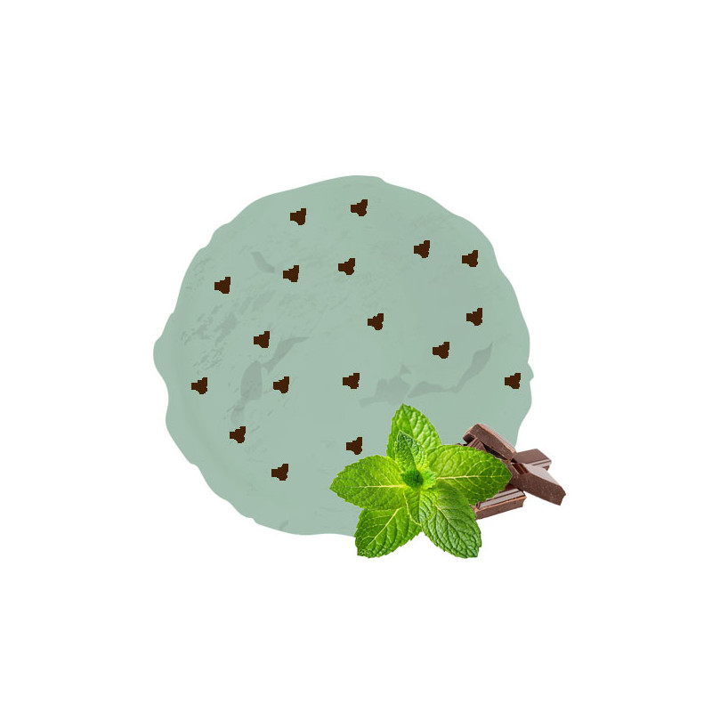Crème glacée menthe copeaux de chocolat – Format familial 2,5 L