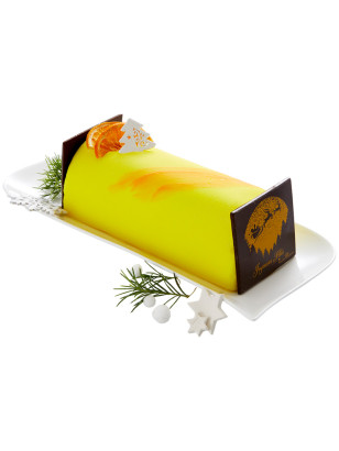 Une bûche glacée de noël sans allergènes