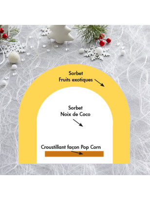 Une bûche glacée légère et rafraichissante