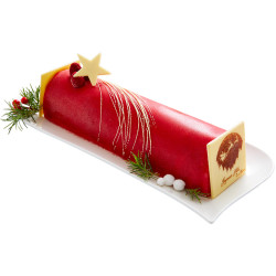 La bûche glacée à la framboise xxl