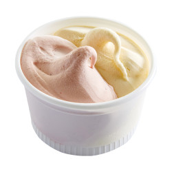Petits pots de crème glacée Vanille & Fraise – Lot de 8 | Van Den Casteele