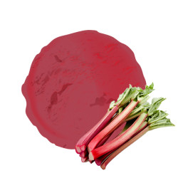 Le bon gout acidulé de la rhubarbe dans notre sorbet