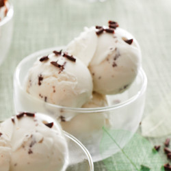 Glace Végétale Noix de Coco avec Copeaux de Chocolat Noir - Van Den Casteele