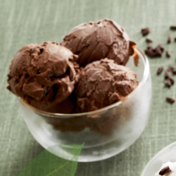 Glace Végétale au Chocolat Noir avec Éclats de Chocolat - Van Den Casteele