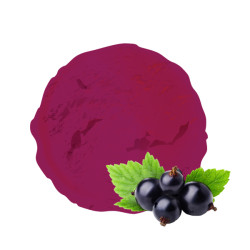 Sorbet plein fruit au cassis noir de bourgogne