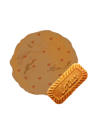 Le spéculoos dans une crème glacée avec morceaux