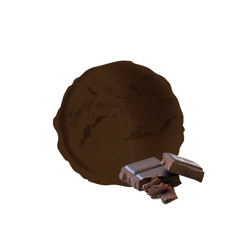 Crème glacée artisanale au chocolat noir vandencasteele