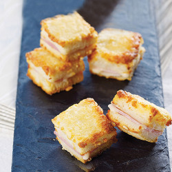 40 MINI-CROQUES MONSIEUR - 480g