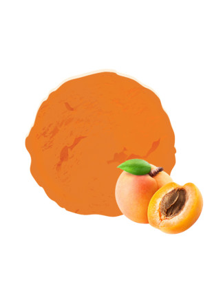 Un sorbet artisanal : un dessert rafraichissant et savoureux