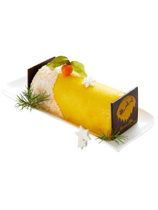 Une bûche glacée légère et rafraichissante