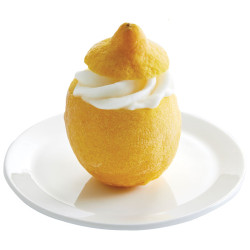 Les citrons givrés vandencasteele