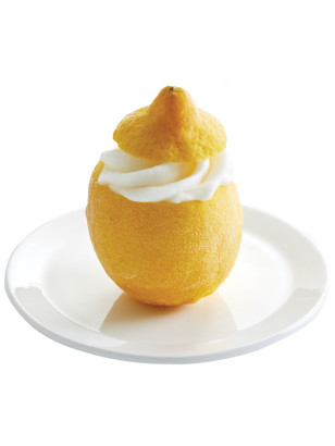 Les citrons givrés vandencasteele