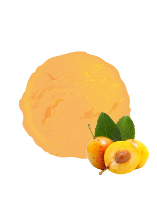 La mirabelle de lorraine dans un sorbet plein fruit