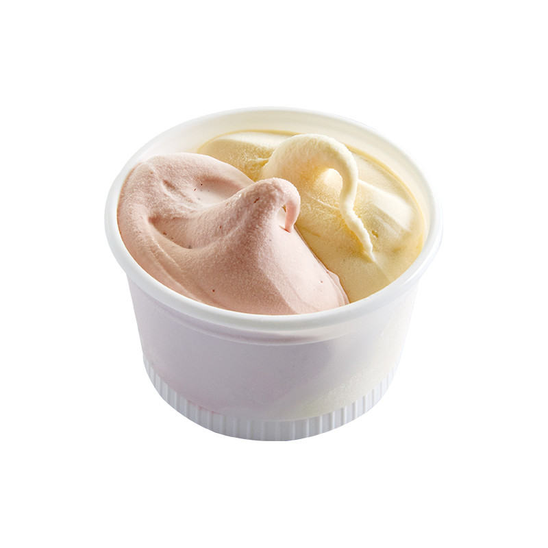 Petits pots de crème glacée Vanille & Fraise – Lot de 8 | Van Den Casteele