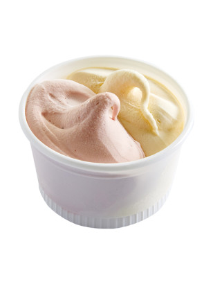 Petits pots de crème glacée Vanille & Fraise – Lot de 8 | Van Den Casteele