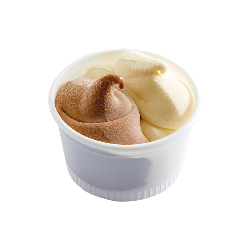 Petits pots glacés Vanille de Madagascar & Chocolat belge – Lot de 8 | Van Den Casteele