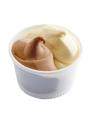 Petits pots glacés Vanille de Madagascar & Chocolat belge – Lot de 8 | Van Den Casteele