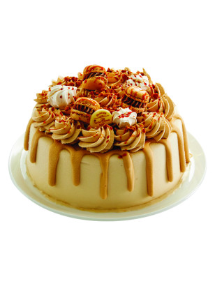 Layer Cake Spéculoos Van Den Casteele