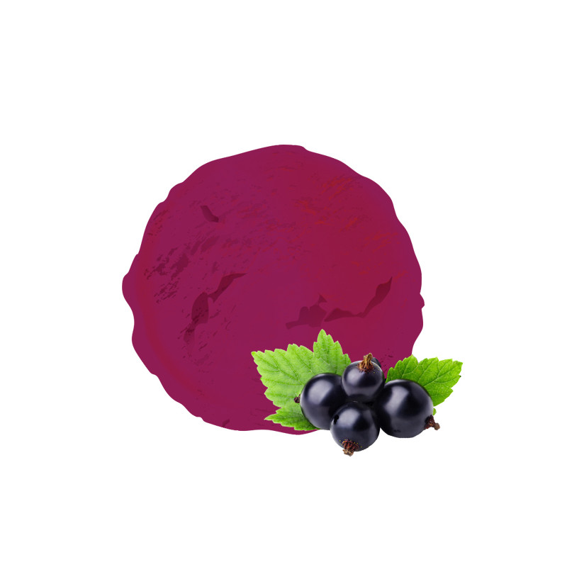 Sorbet plein fruit au cassis noir de bourgogne