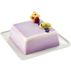 Gâteau Glacé Violette 6 Parts- Van Den Casteele