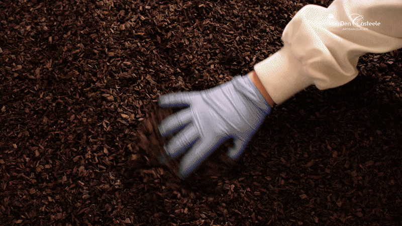 Vidéo de présentation