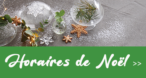 gourmandises glac&eacute;es