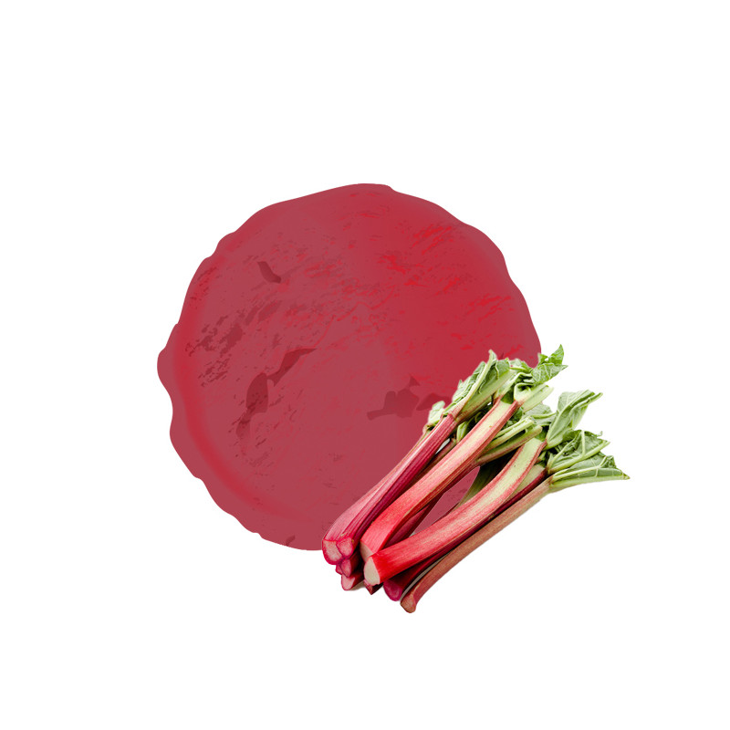 Sorbet plein fruit rhubarbe – Format familial 2,5 L