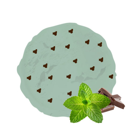 Crème glacée menthe chocolat Van Den Casteele