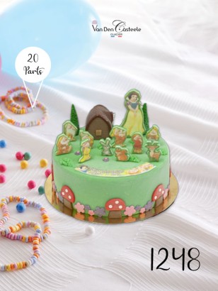 Gâteau Glacé – Anniversaire Blanche-Neige | Van Den Casteele